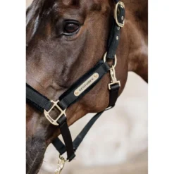 Kentucky Halster Velvet Zwart