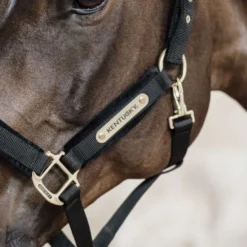 Kentucky Halster Velvet Zwart