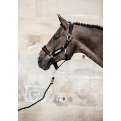 Kentucky Halster Velvet Zwart
