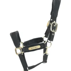 Kentucky Halster Velvet Zwart