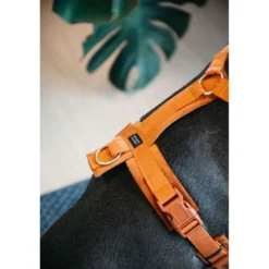Kentucky Harnas Active Velvet Oranje