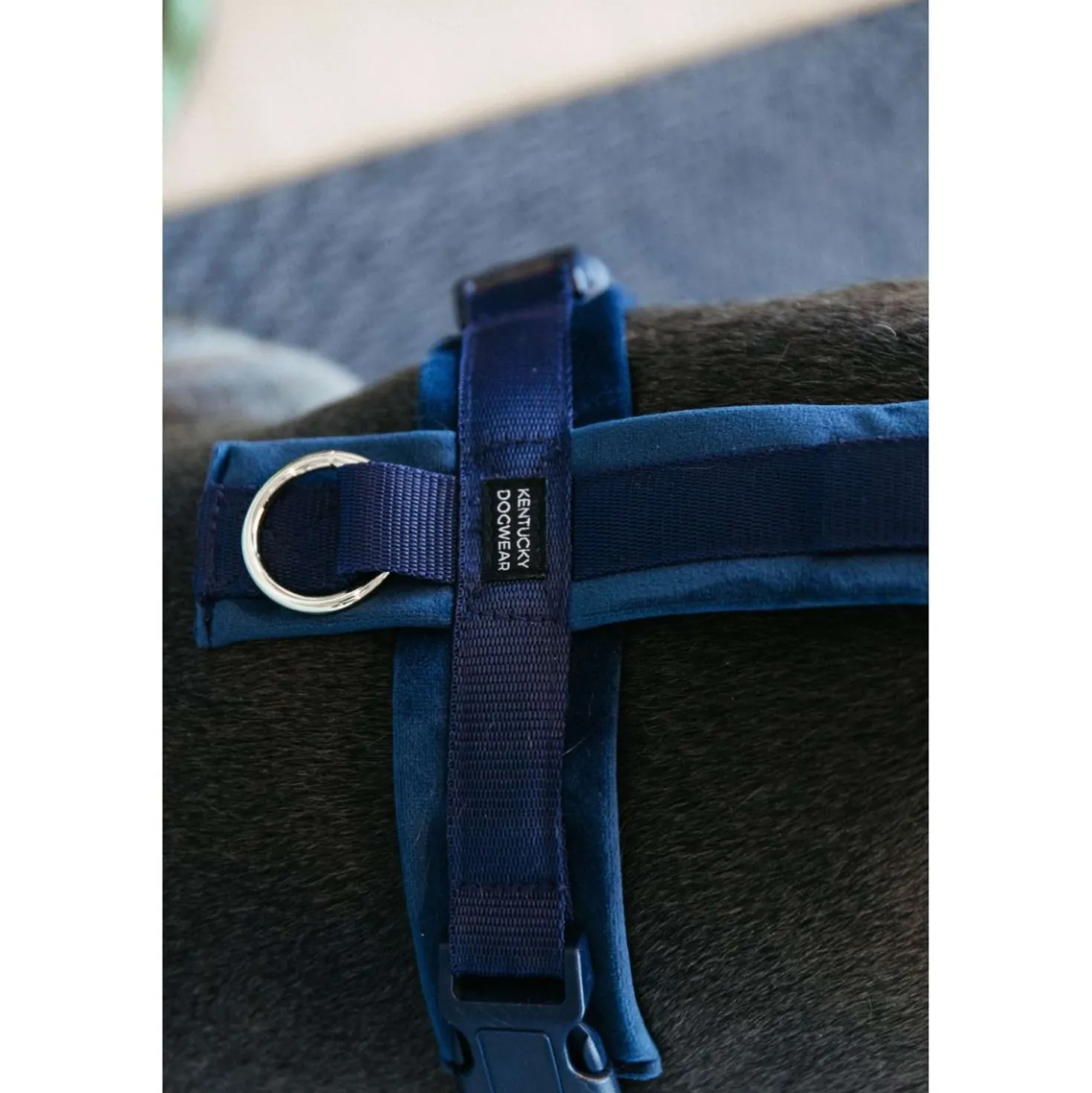 Kentucky Harnas Active Velvet Navy