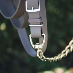 Kentucky Hengstenketting