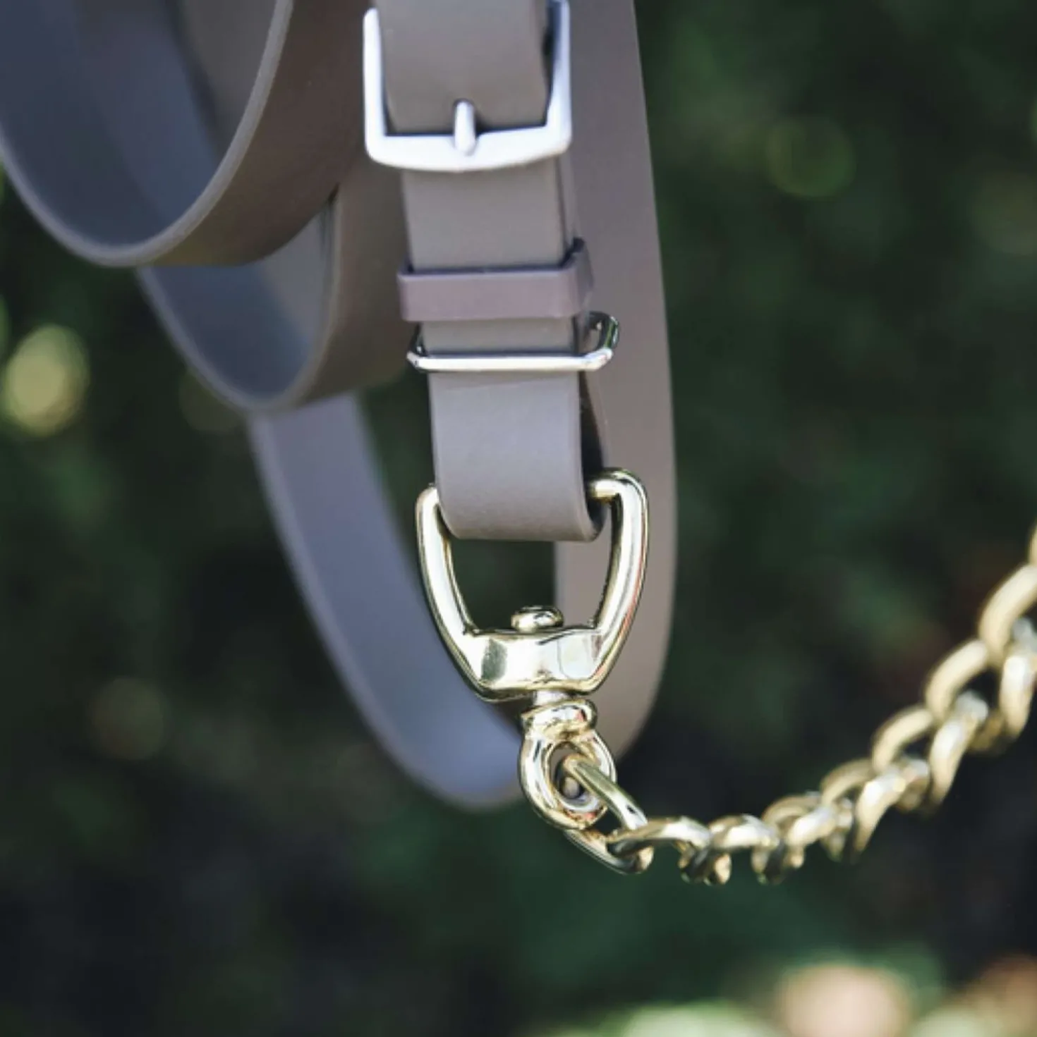 Kentucky Hengstenketting
