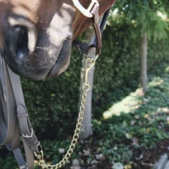 Kentucky Hengstenketting