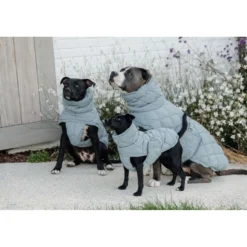 Kentucky Hondendeken Winter Pina 160g Dusty Blue