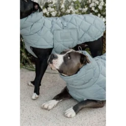 Kentucky Hondendeken Winter Pina 160g Dusty Blue