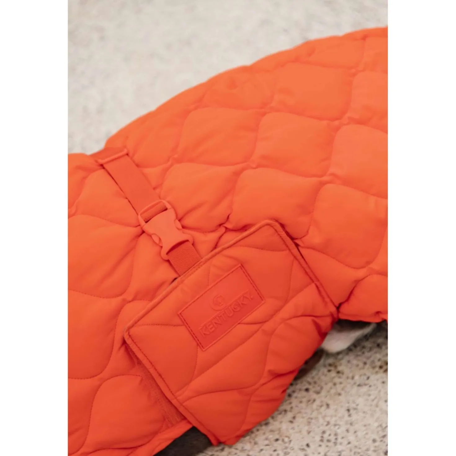 Kentucky Hondendeken Winter Pina 160g Oranje