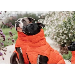 Kentucky Hondendeken Winter Pina 160g Oranje