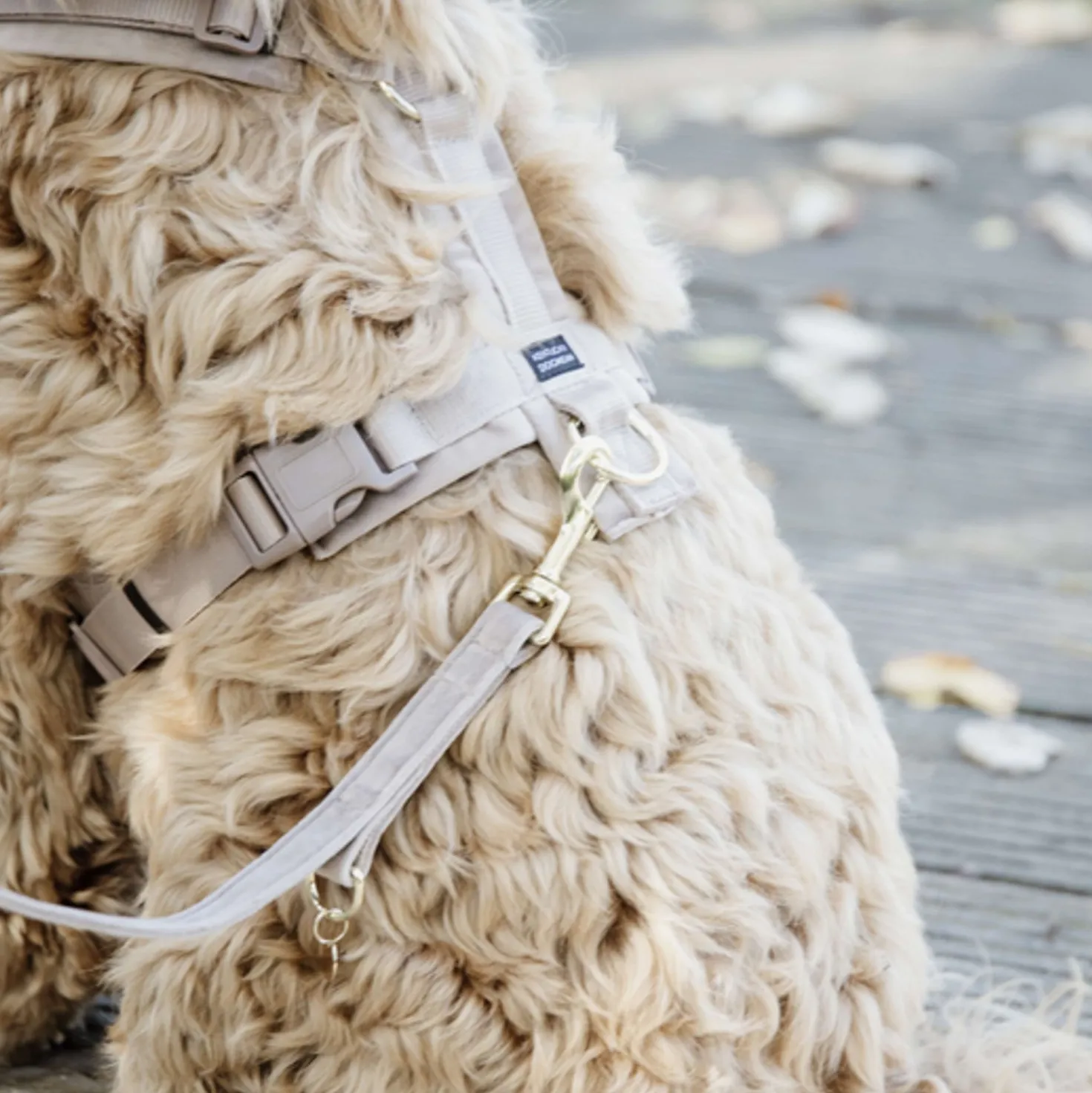 Kentucky Hondenriem Velvet Beige