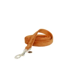 Kentucky Hondenriem Velvet Oranje