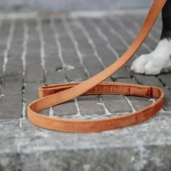 Kentucky Hondenriem Velvet Oranje
