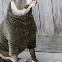 Kentucky Honden Sweater Teddy Fleece Pine Green