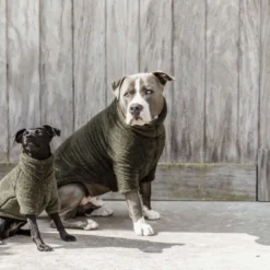 Kentucky Honden Sweater Teddy Fleece Pine Green