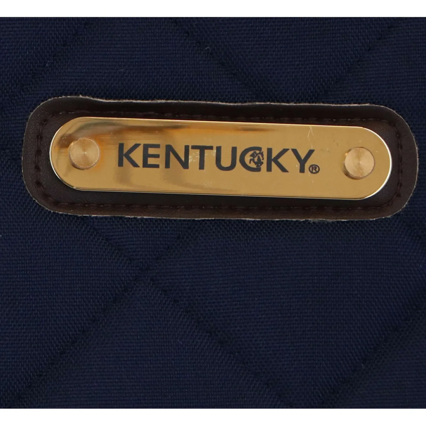Kentucky Hoofdsteltas Navy