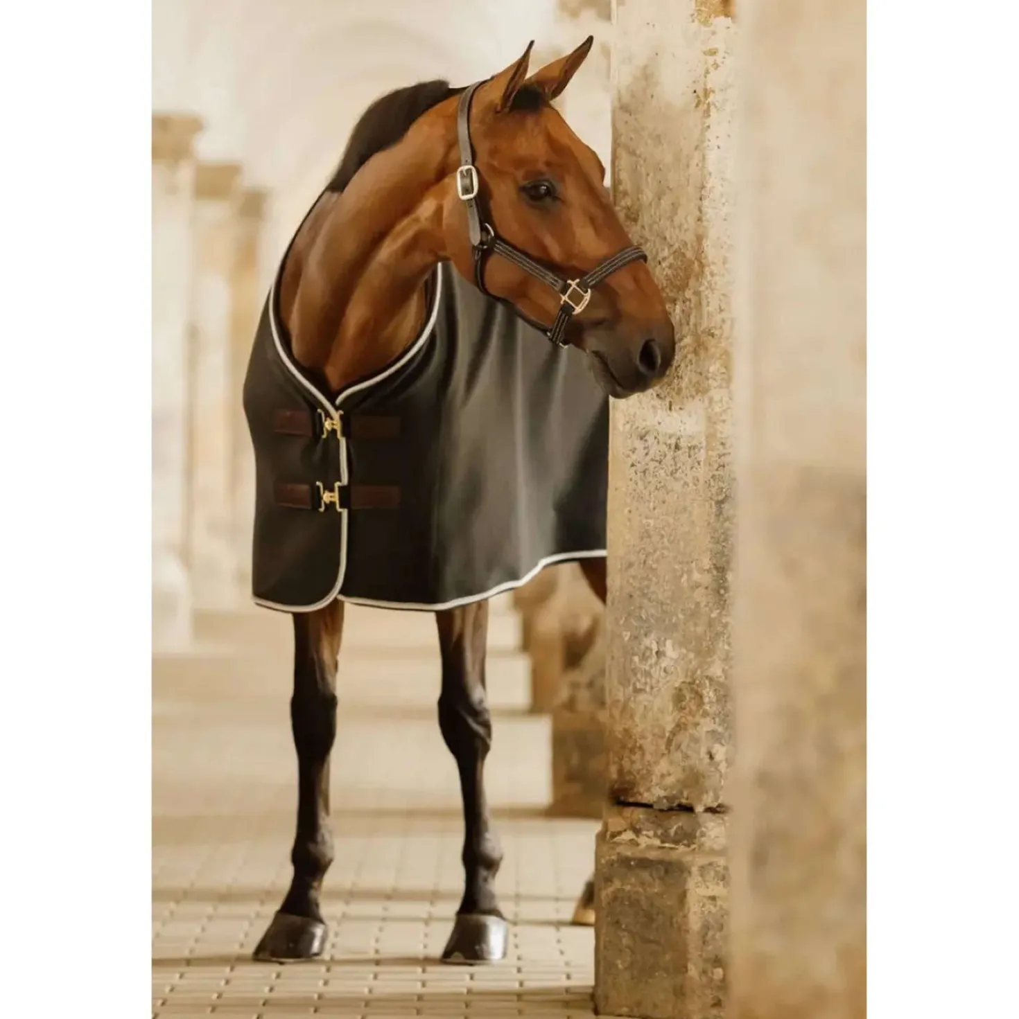Kentucky Horsewear Fleece Deken Show Vegan Wool Grijs