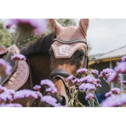 Kentucky Horsewear Oornetje Wellington 3D Logo Oudroze