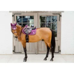 Kentucky Horsewear Oornetje Wellington 3D Logo Paars