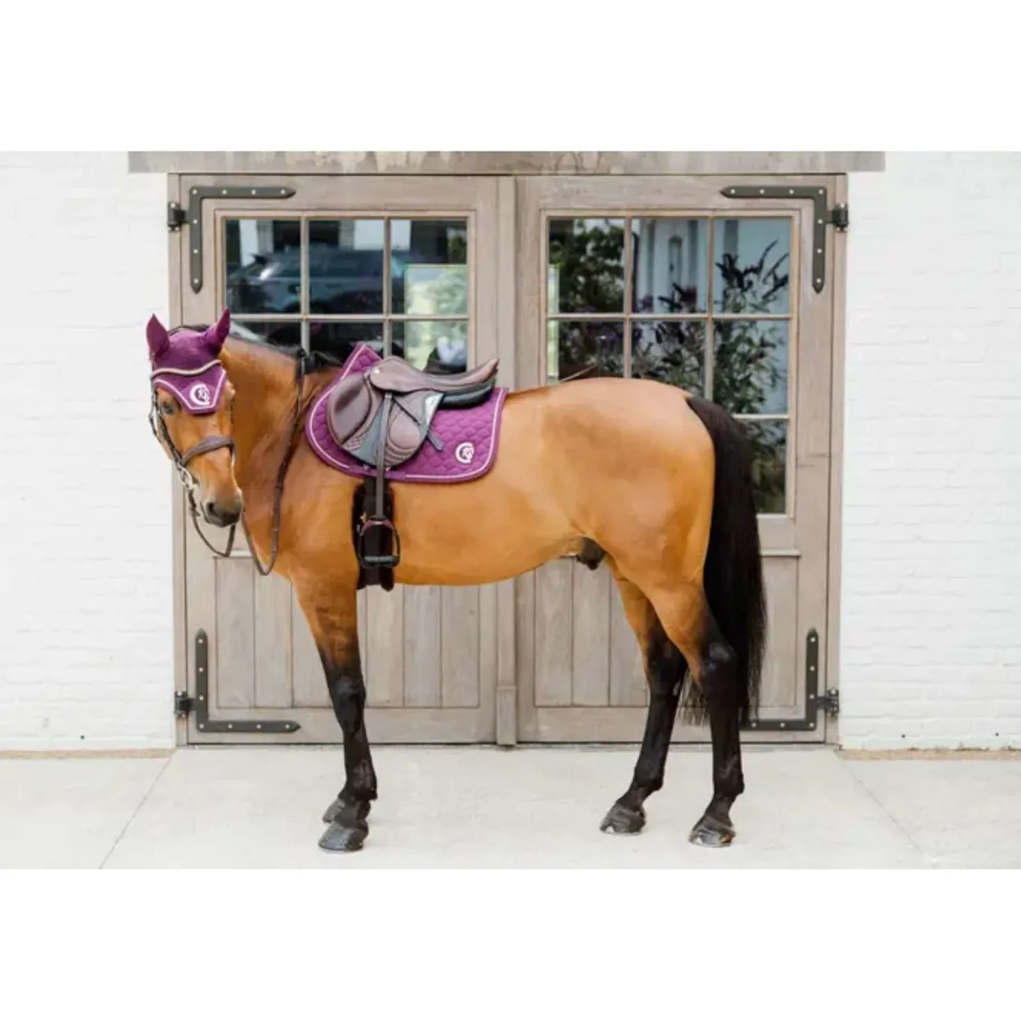 Kentucky Horsewear Oornetje Wellington 3D Logo Paars