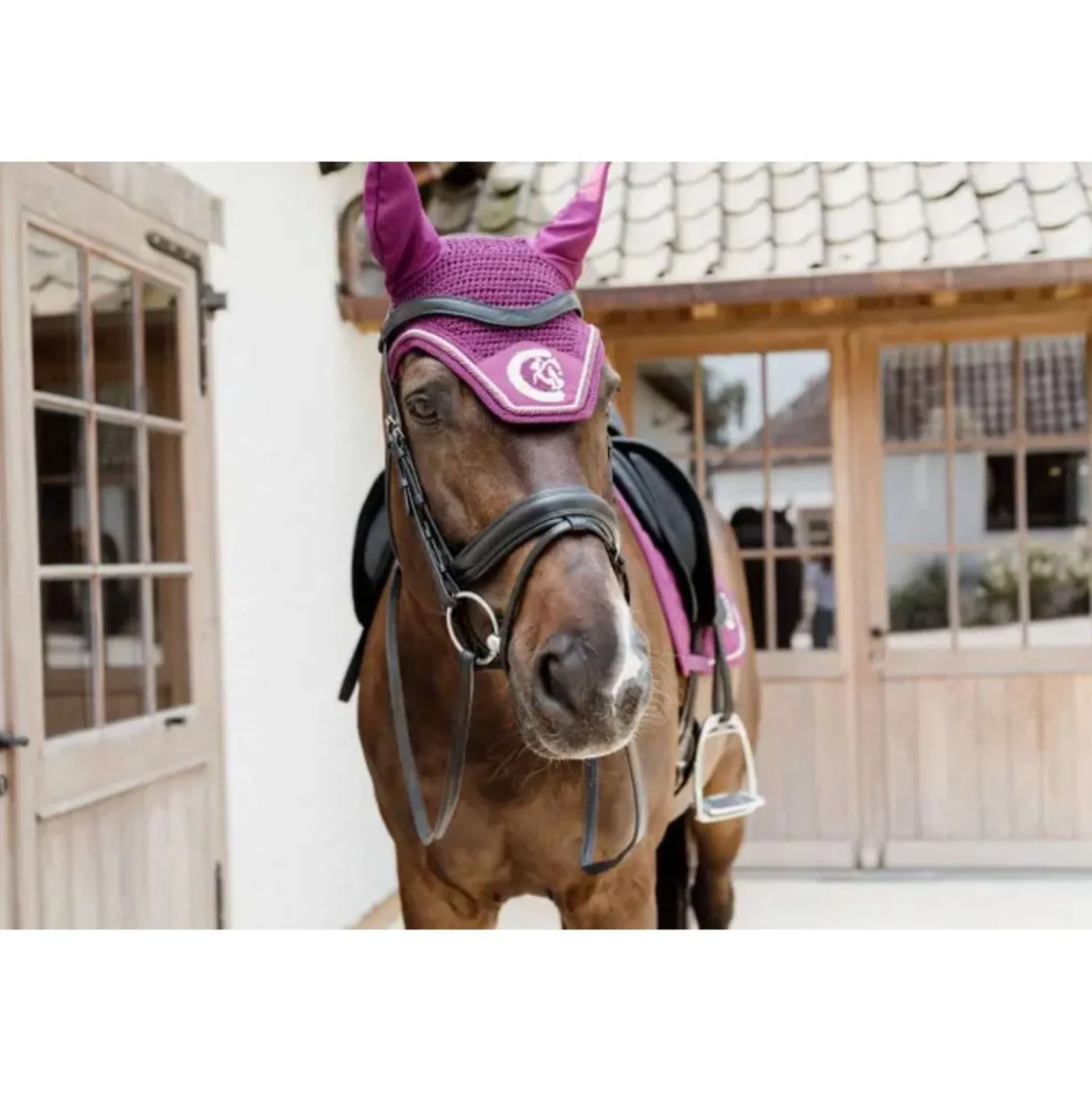 Kentucky Horsewear Oornetje Wellington 3D Logo Paars