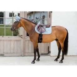 Kentucky Horsewear Zadeldekje Onion Quilt 3D Logo Springen Licht Blauw