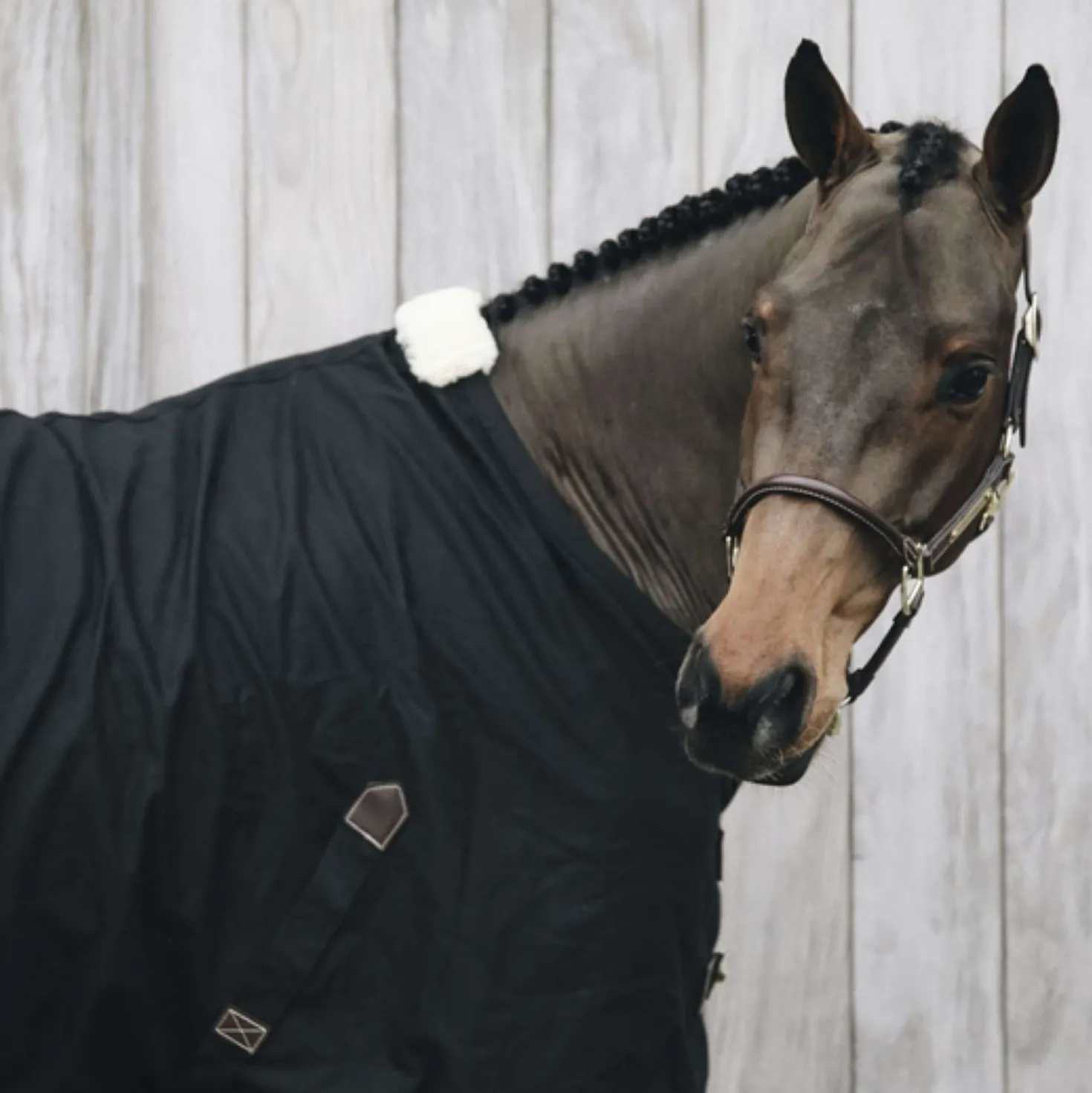 Kentucky Katoenen deken Black