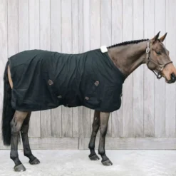 Kentucky Katoenen deken Black