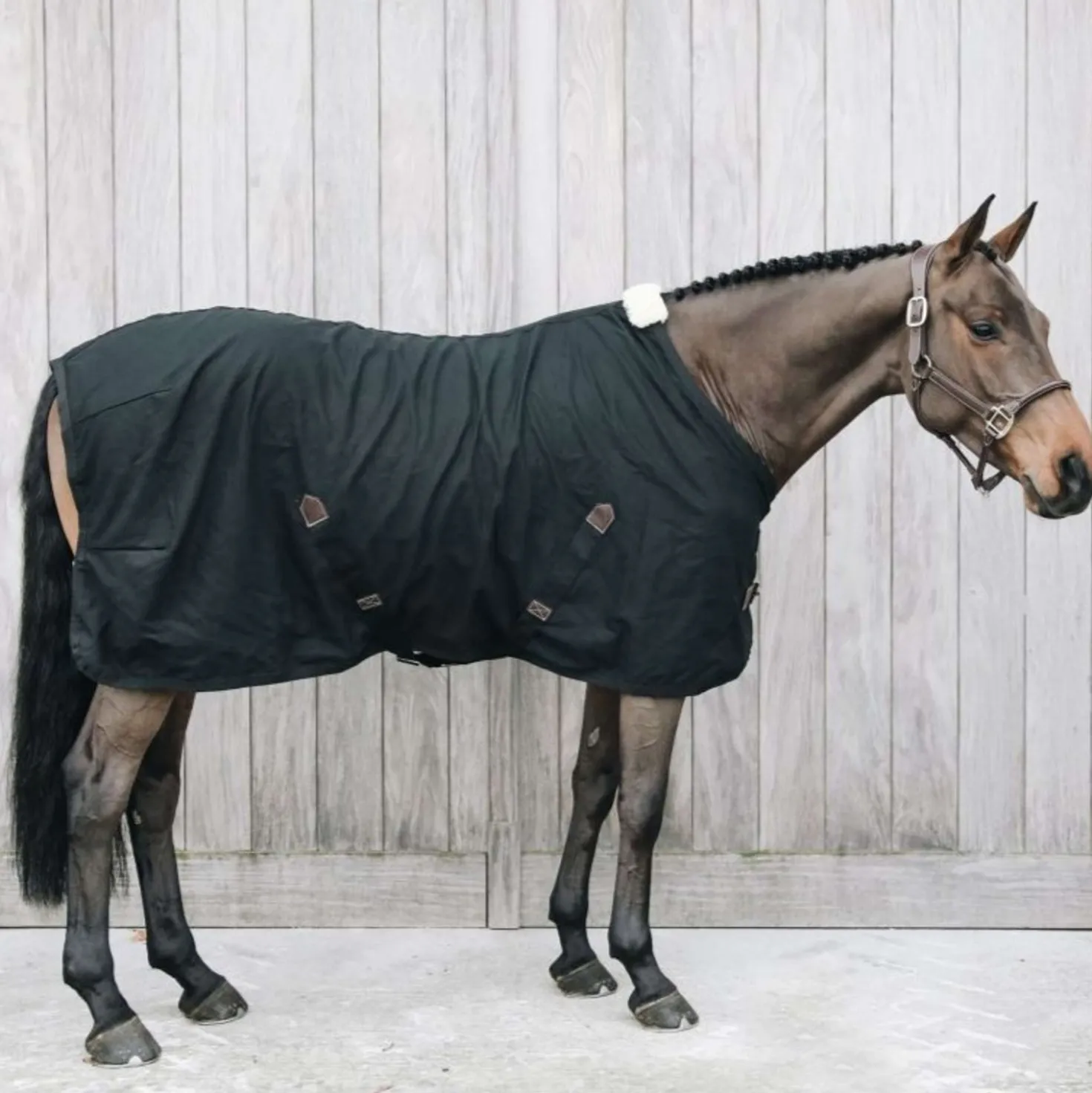 Kentucky Katoenen deken Black