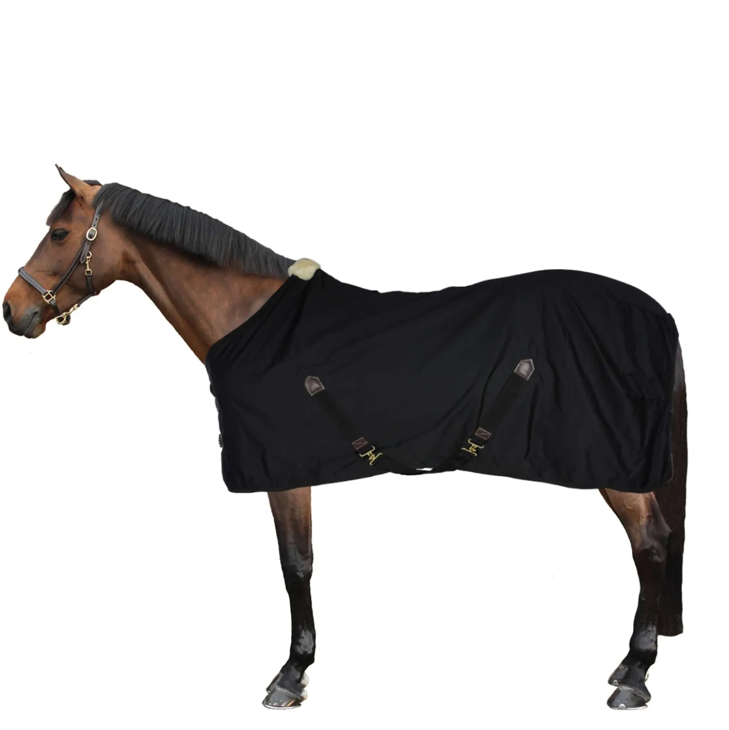 Kentucky Katoenen deken Black