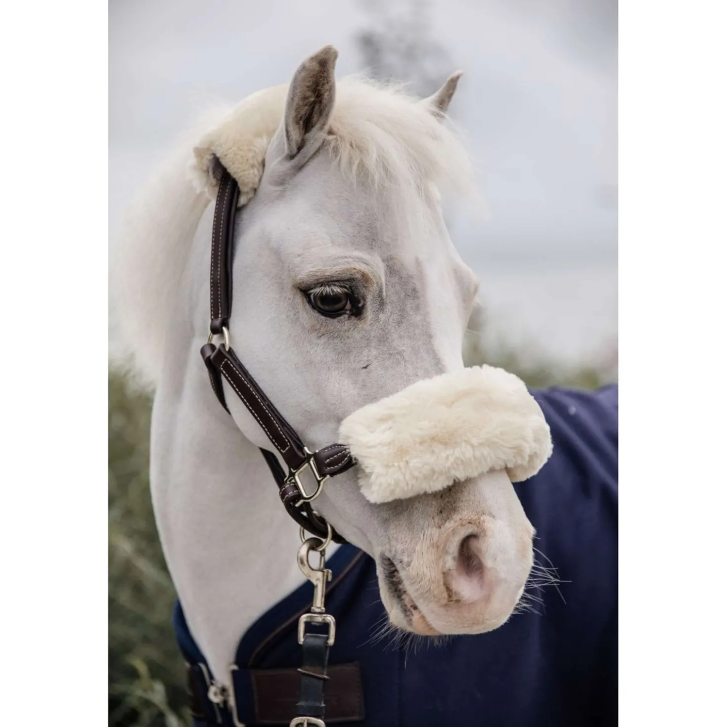 Kentucky Leren Halster Leather with Sheepskin