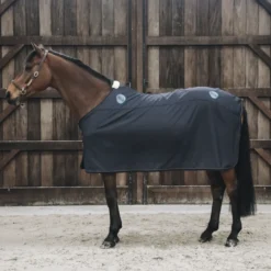 Kentucky Magnetic Rug Recuptex