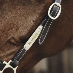 Kentucky Naamplaatje voor Halster Gold