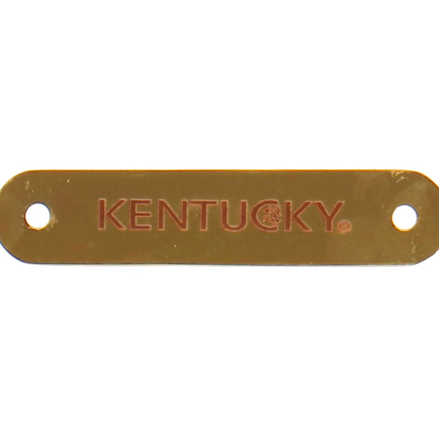 Kentucky Naamplaatje voor Halster Gold