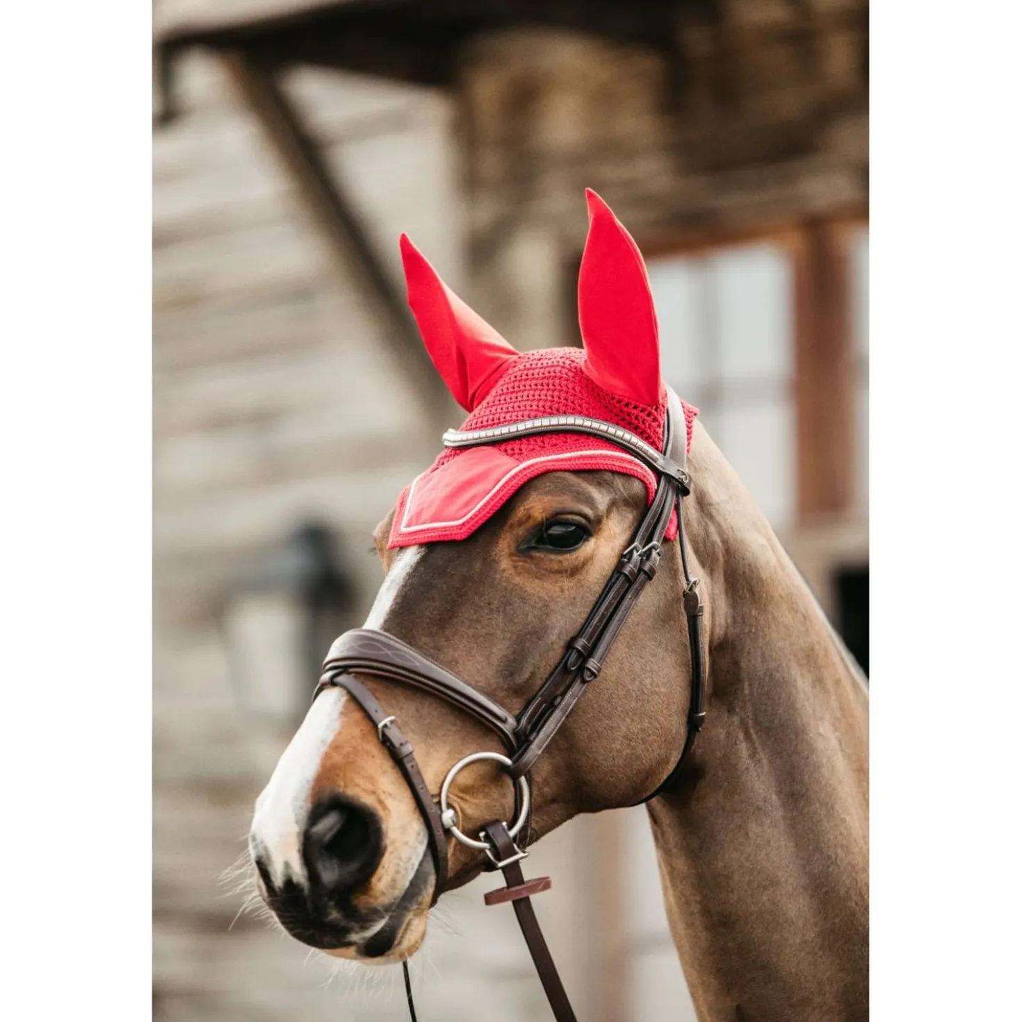 Kentucky Oornetje Wellington Velvet Rood