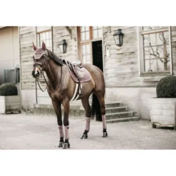 Kentucky Oornetje Wellington Velvet Beige