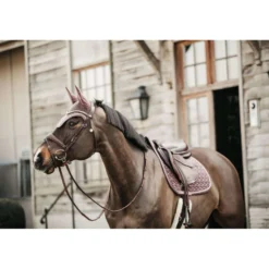 Kentucky Oornetje Wellington Velvet Beige