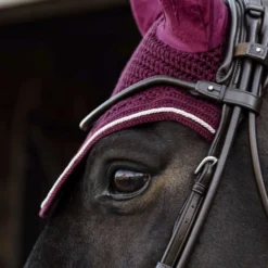 Kentucky Oornetje Wellington Velvet Bordeaux