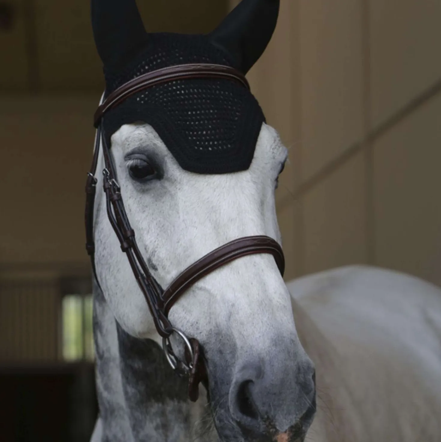 Kentucky Oornetje Wellington Soundless Zwart