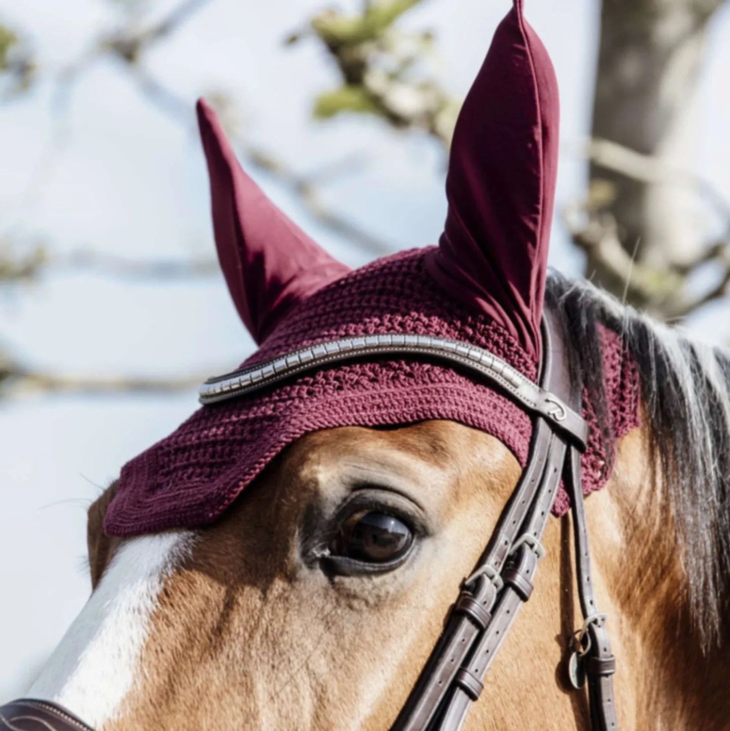 Kentucky Oornetje Wellington Bordeaux