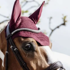 Kentucky Oornetje Wellington Bordeaux