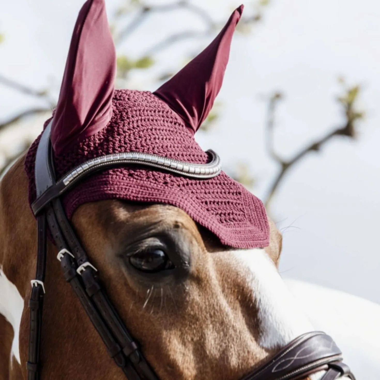 Kentucky Oornetje Wellington Bordeaux