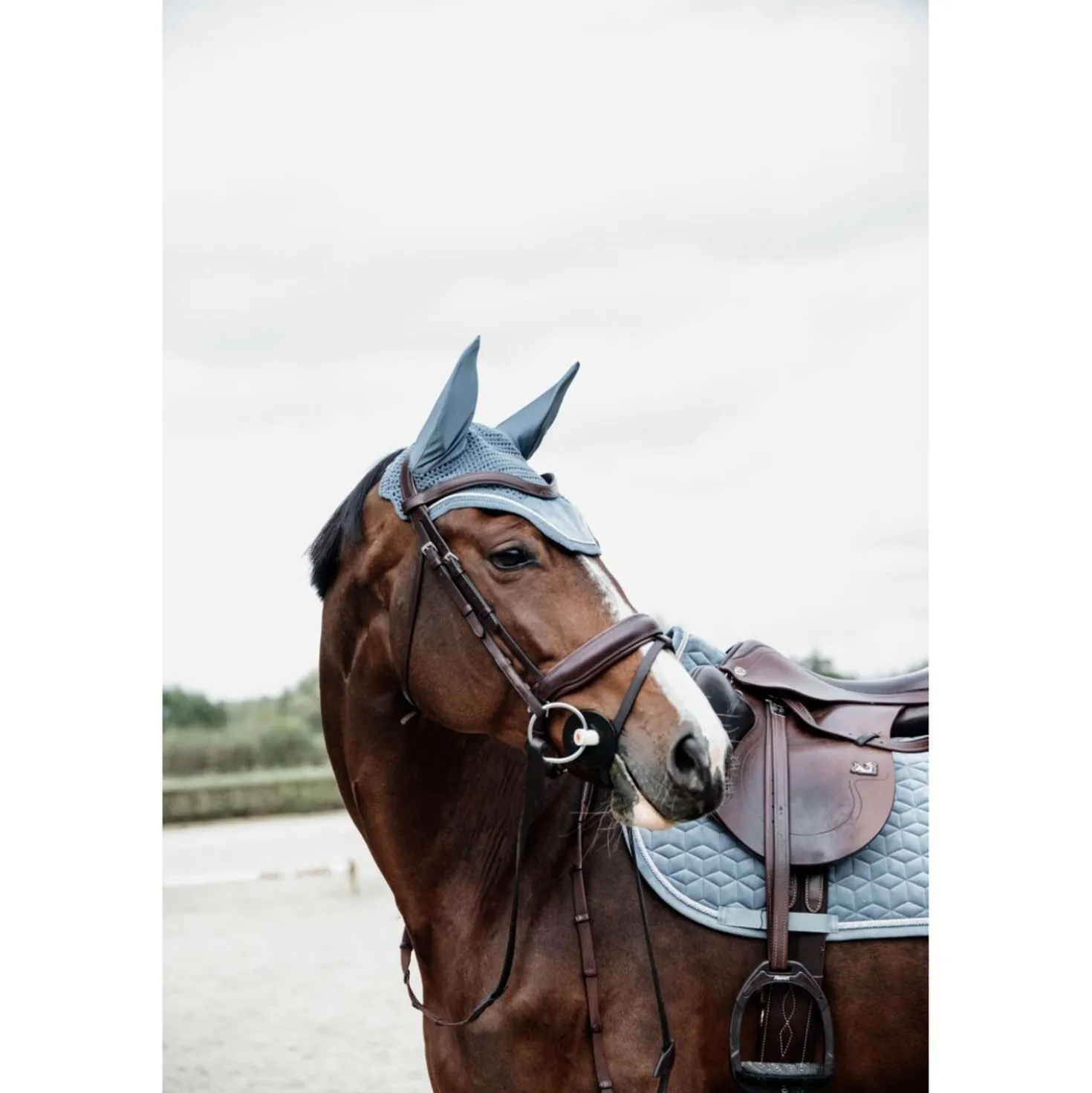 Kentucky Oornetje Wellington Velvet Lichtblauw
