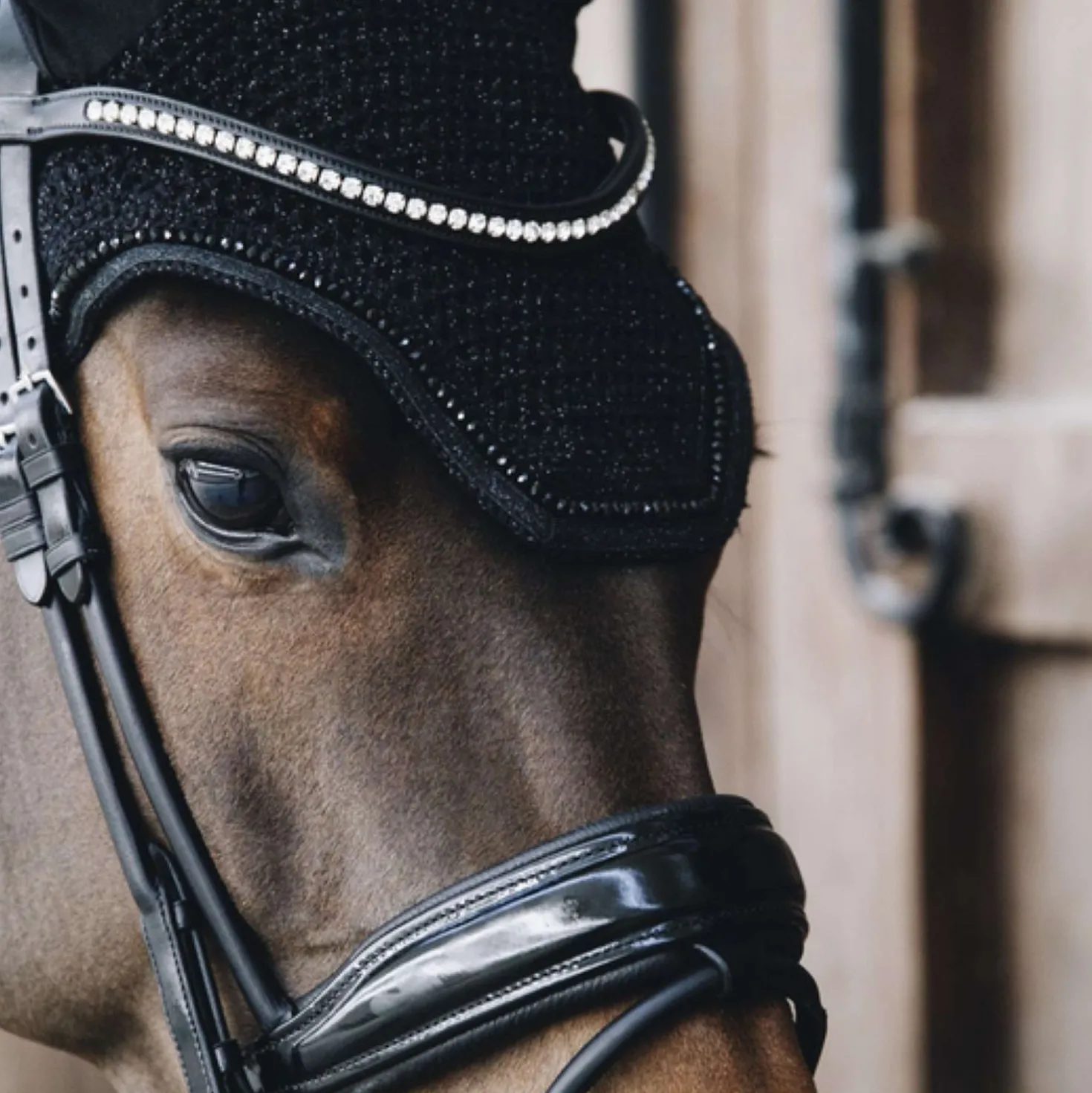 Kentucky Oornetje Wellington Glitter Soundless Black