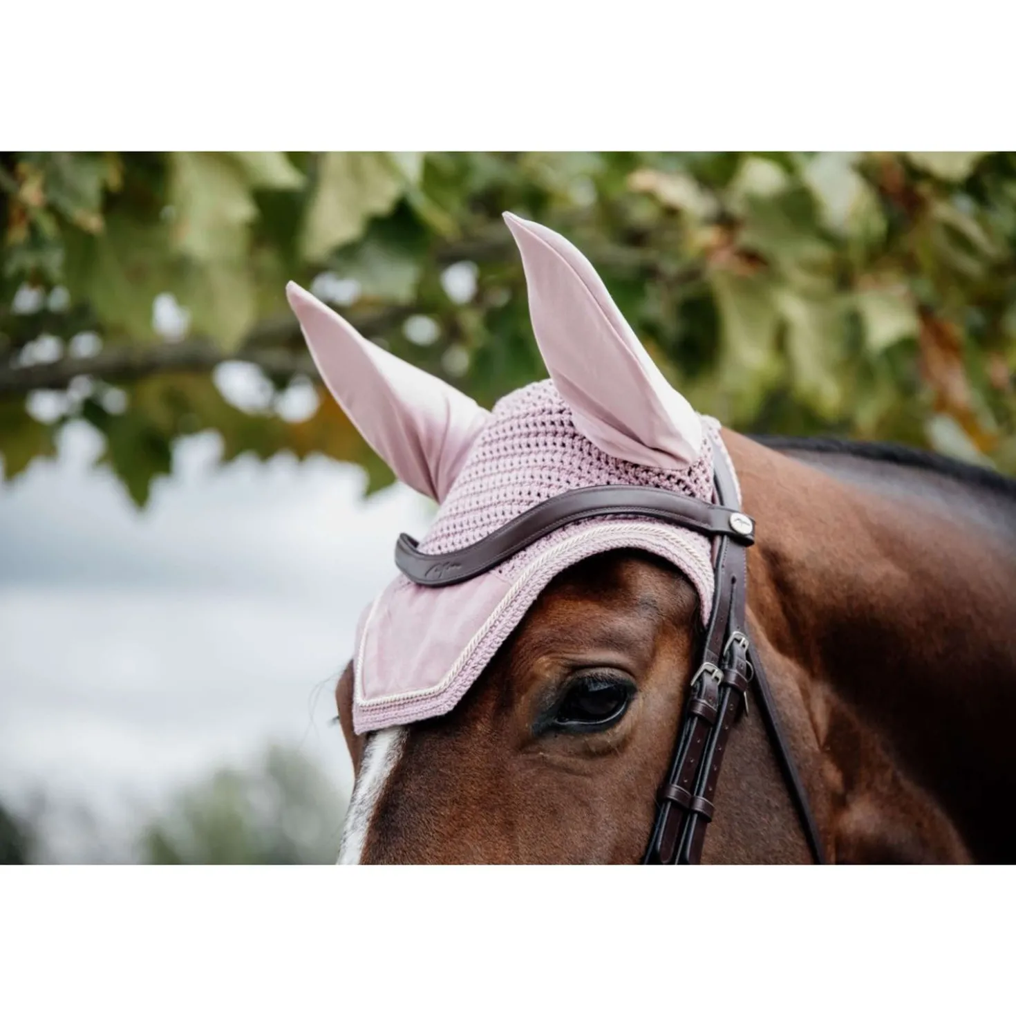 Kentucky Oornetje Wellington Velvet Oud Roze
