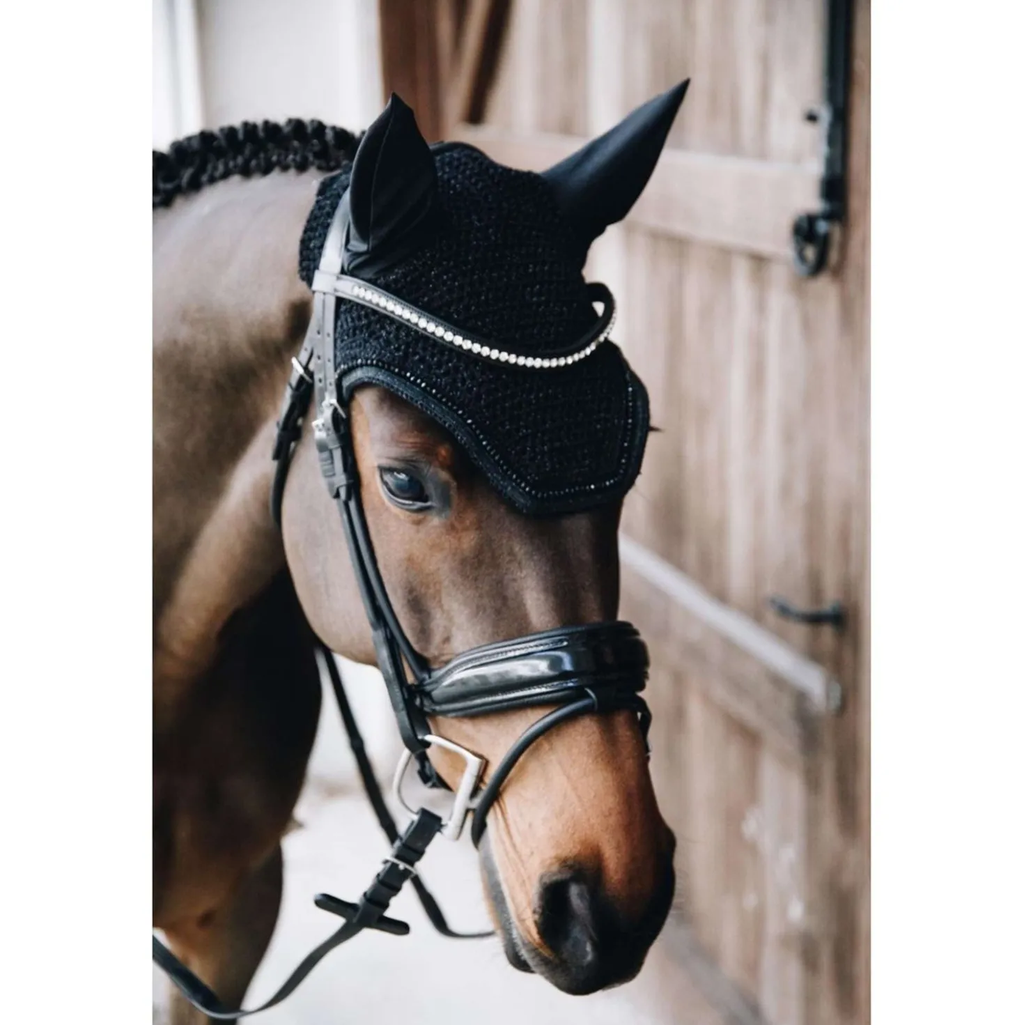 Kentucky Oornetje Wellington Glitter Black
