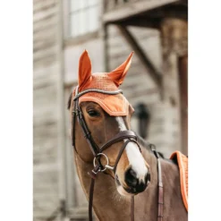 Kentucky Oornetje Wellington Velvet Oranje