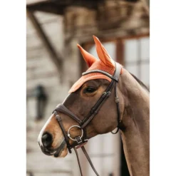 Kentucky Oornetje Wellington Velvet Oranje