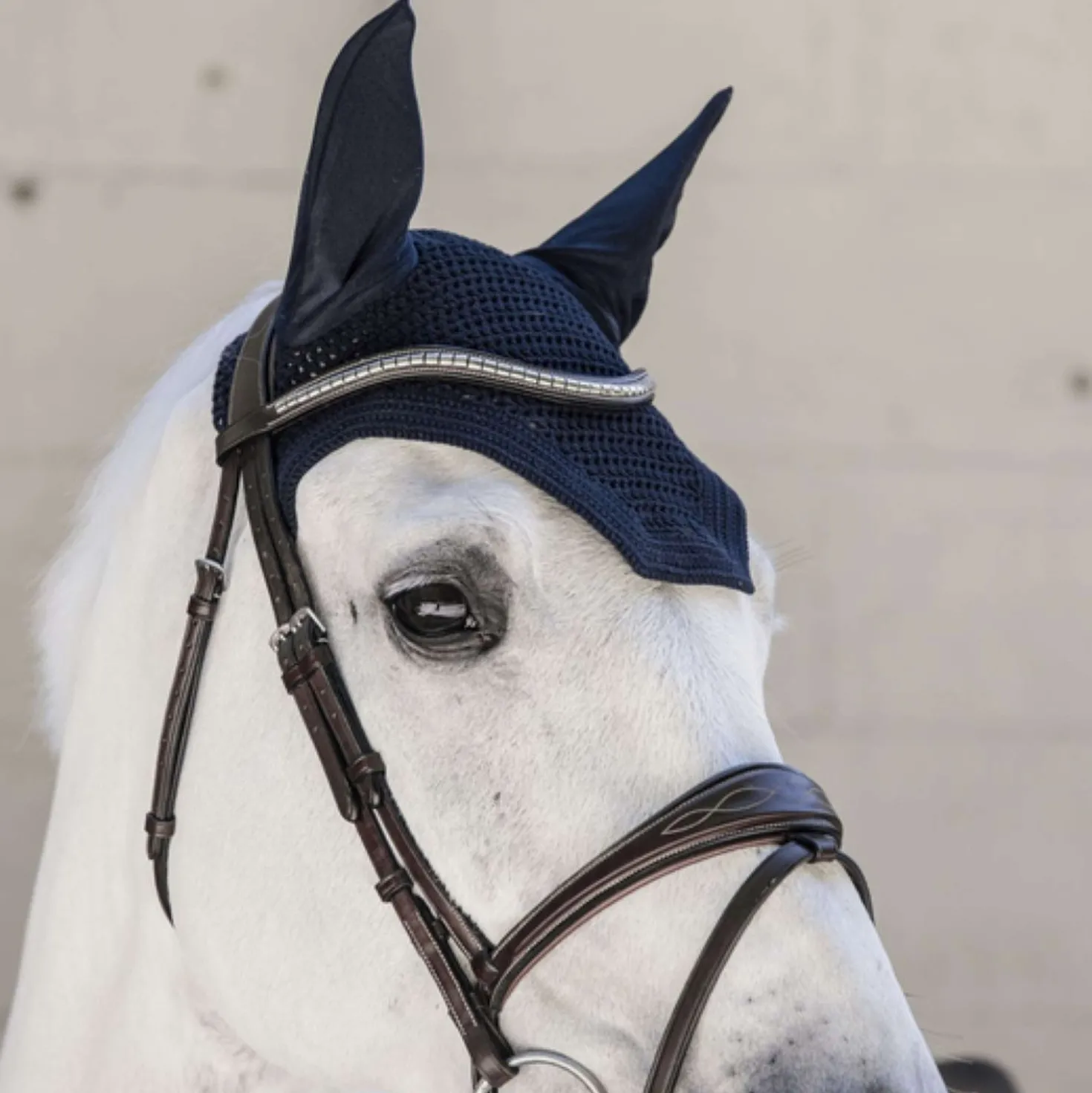 Kentucky Oornetje Wellington Dark Navy