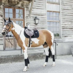 Kentucky Oornetje Wellington Velvet Pearls Zwart