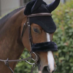 Kentucky Oornetje Wellington Zwart